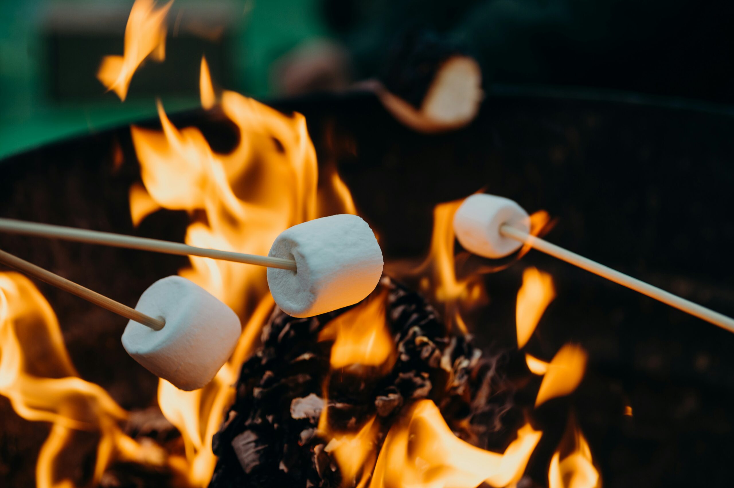 Marshmallows roasting on sticks over a campfire flame.
