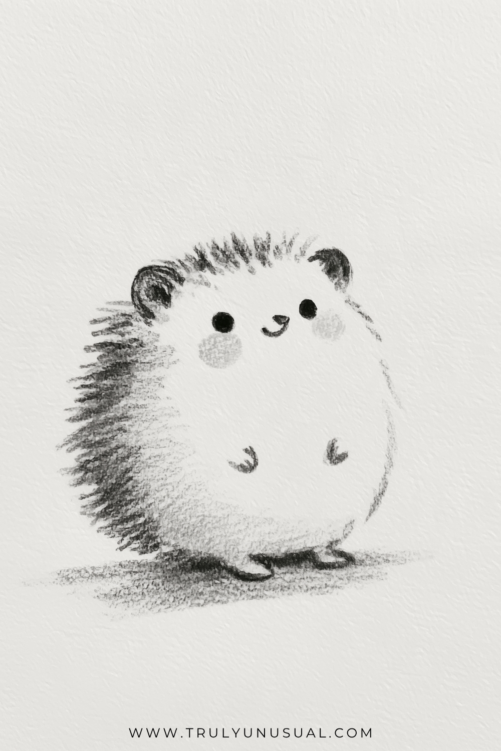 Pencil sketch of a round hedgehog standing upright with a pale belly, tiny curled front paws, and small feet. Dark, uneven spines cover its left side and crown, framing rounded ears, black dot eyes, shaded cheeks, and a small smiling mouth. A soft ground shadow sits beneath it on textured white paper.