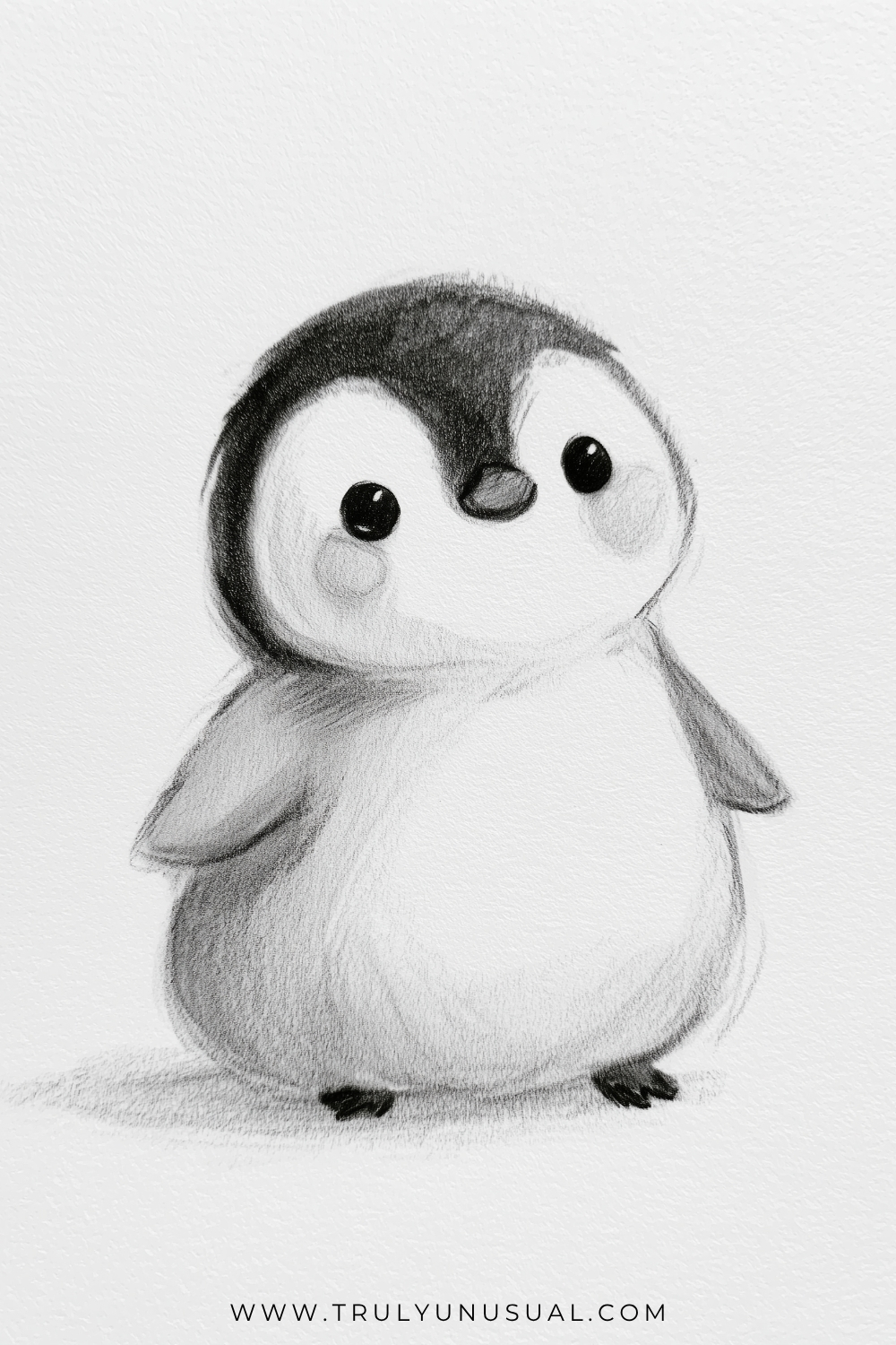 Pencil drawing of a chubby baby penguin with a dark rounded head, white face patches, large glossy eyes, a small beak, and lightly shaded cheeks. Short flippers extend beside its fluffy pale belly, with tiny dark feet and a soft shadow underneath.