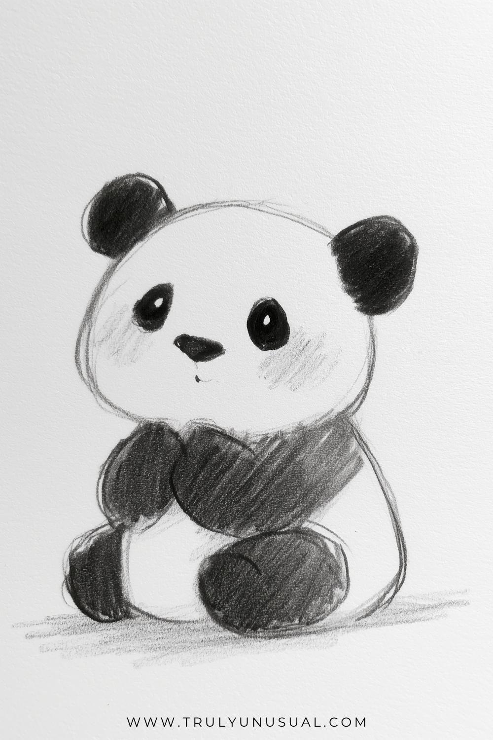 Pencil drawing of a baby panda sitting with its head tilted slightly to the right, dark rounded ears, and glossy eyes within softly shaded eye patches. Its dark front paws rest against its chest, with rounded hind paws framing a pale belly and a faint shadow below.