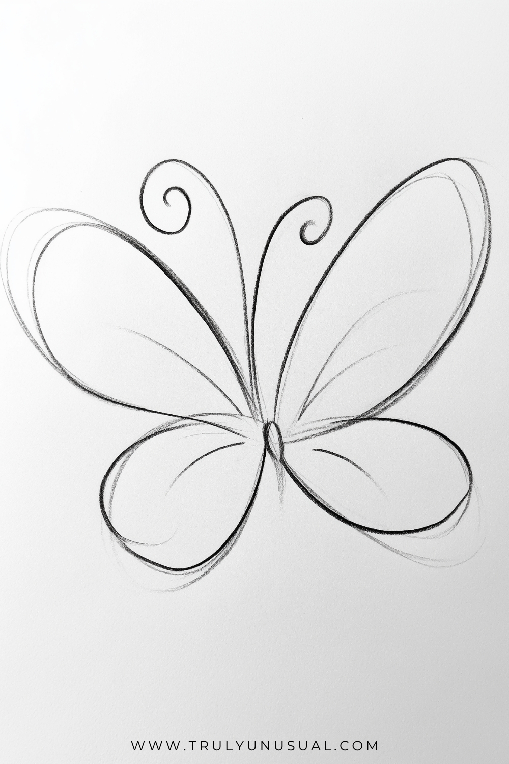 Light outline sketch of a butterfly with a narrow oval body and two long antennae curling inward at the tips. Large upper wings sweep upward and outward above smaller rounded lower wings, with a few curved interior lines suggesting wing sections.