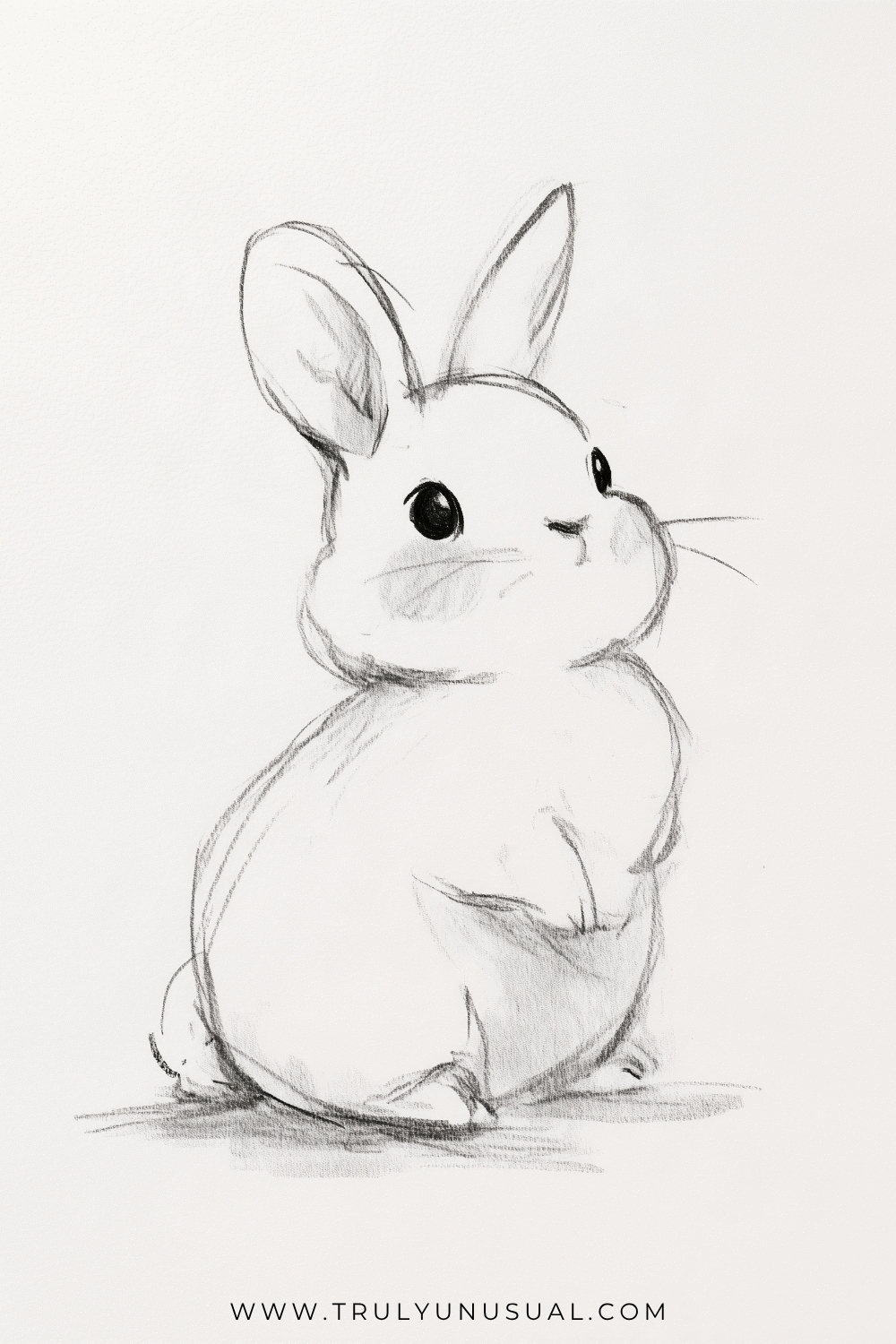 Soft pencil drawing of a plump rabbit sitting upright and looking slightly to the right, with long ears, dark shiny eyes, a tiny nose, and fine whiskers. Small front paws rest near its chest, while light fur strokes and shading define its rounded back and hind feet.