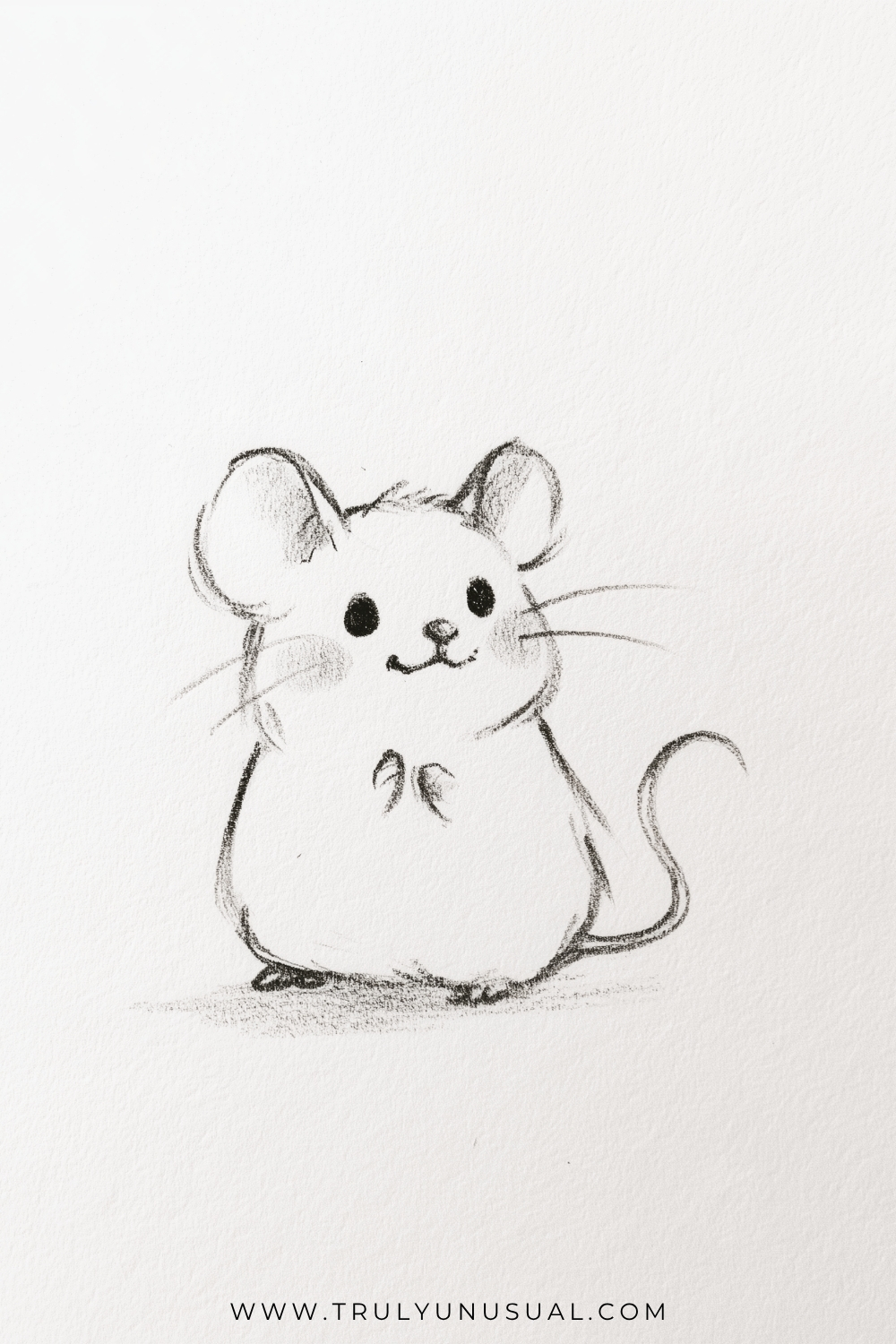 Pencil sketch of a tiny mouse sitting upright with large round ears, dark eyes, a small nose, and long fine whiskers. Its front paws are held together against a plump furry body, while a thin tail curls upward on the right and tiny feet rest on a shaded surface.