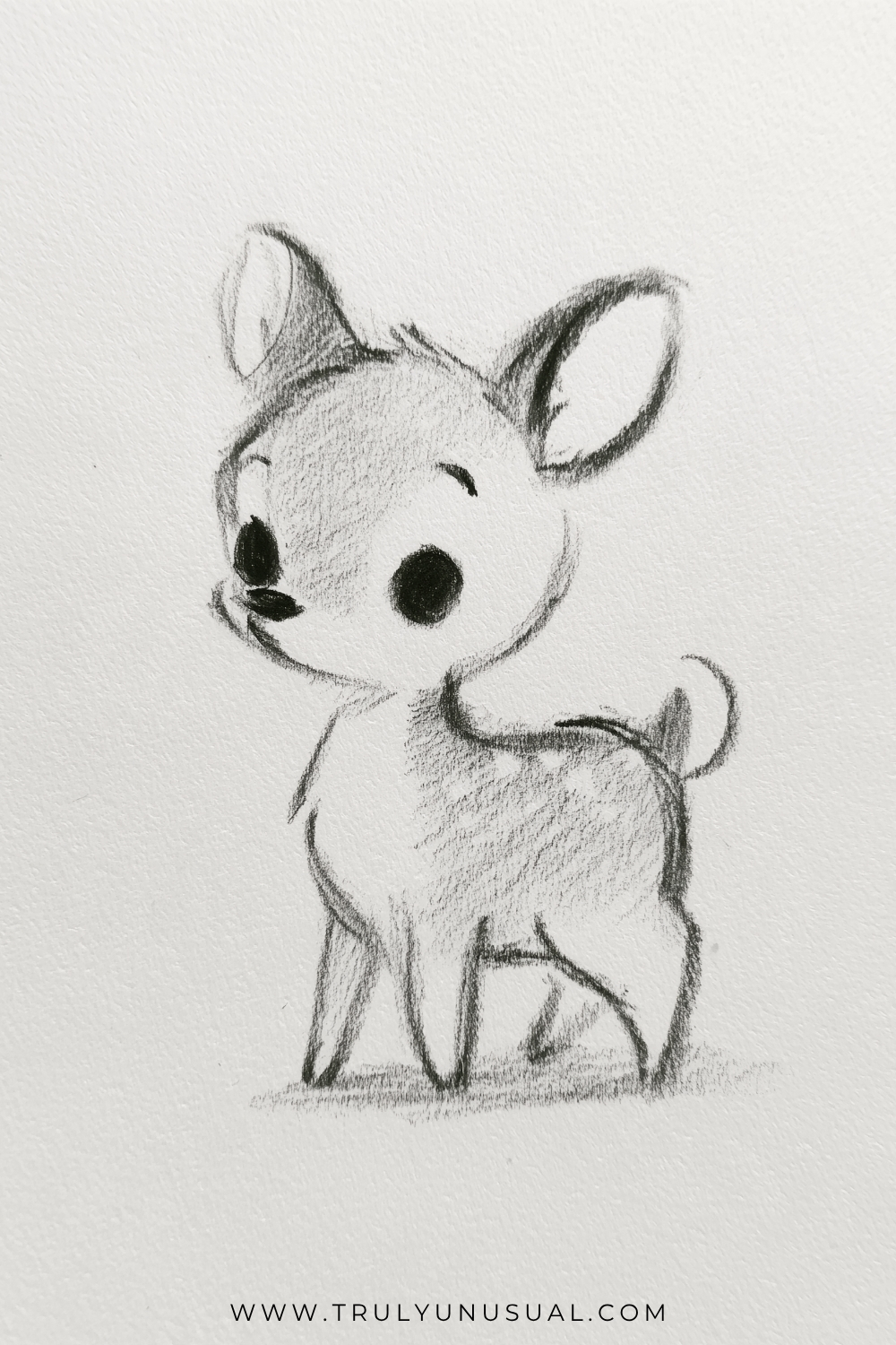 Pencil drawing of a baby deer standing with its head turned slightly to the left, oversized upright ears, large dark eyes, and a small black nose. Its compact body balances on slender legs, with a short raised tail, softly shaded fur, and a faint ground shadow.