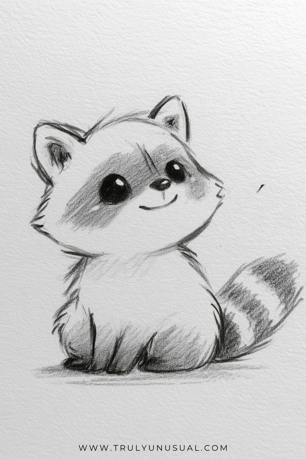 Pencil drawing of a fluffy raccoon sitting and looking slightly upward to the right, with pointed ears, glossy eyes, and a dark mask across its face. Small front paws sit together below its pale chest, while a bushy tail with dark bands curves upward on the right.