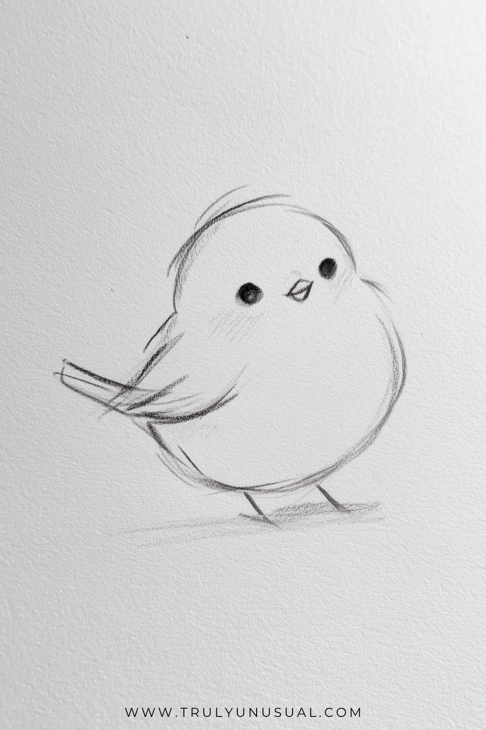 Delicate pencil sketch of a round little bird facing slightly to the right, with dark eyes, a small pointed beak, and loose wispy feathers above its head. A curved wing crosses its side, narrow tail feathers extend left, and thin legs end in tiny feet above a faint shadow.