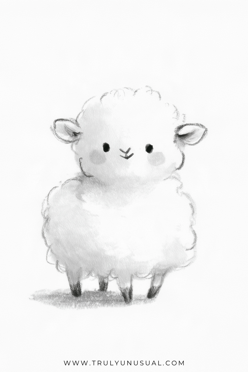 Pencil sketch of a fluffy lamb facing forward, with a rounded face, small ears extending sideways, dark oval eyes, and a tiny nose and mouth. Cloudlike tufts surround its head and plump woolly body, with four short legs, dark hooves, and a shaded ground shadow.