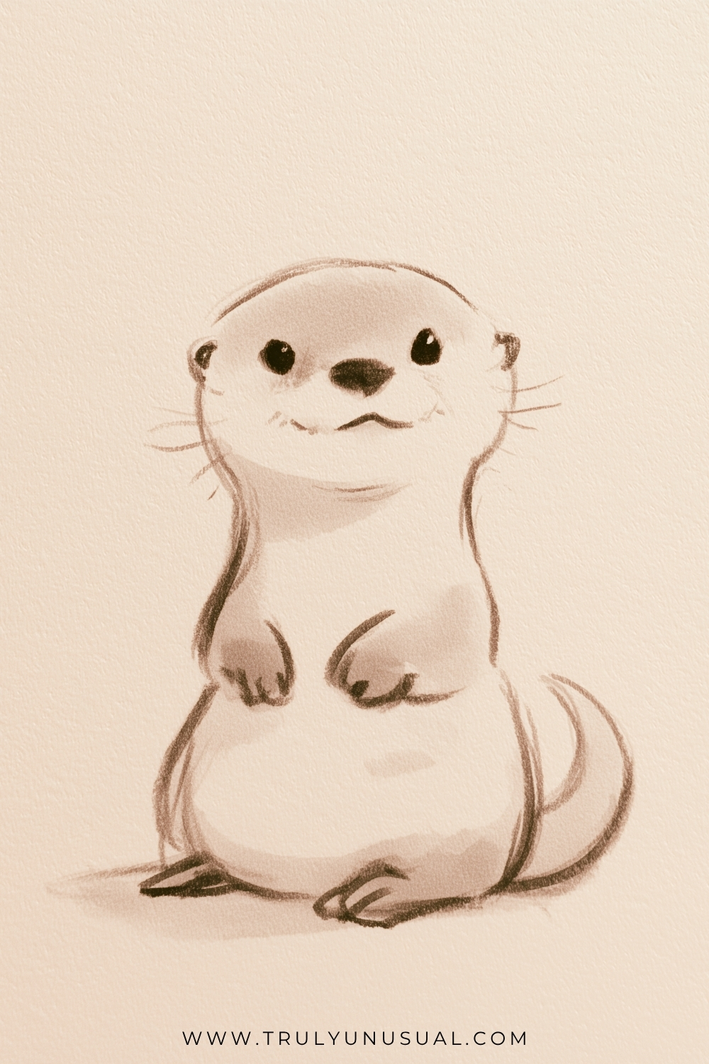Pencil drawing of an otter sitting upright with a small rounded head, dark eyes, a broad nose, and fine whiskers. Its little front paws curl against its chest above a pale rounded belly, while its hind feet spread outward and its long tail curves behind it to the right.