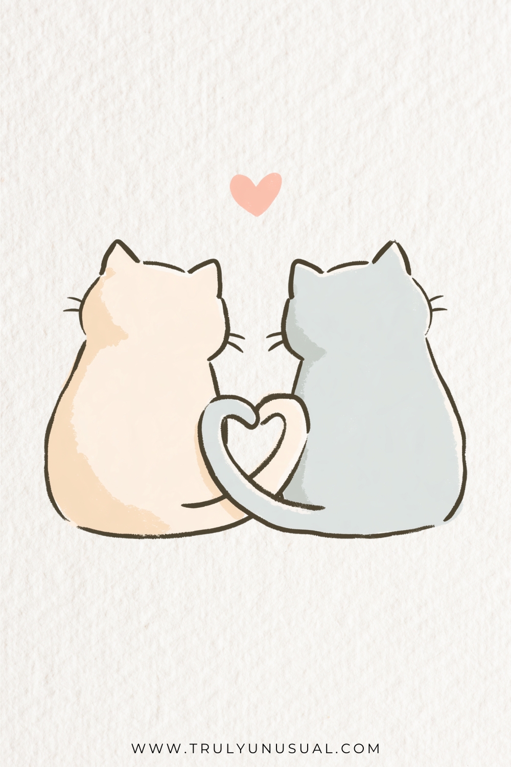 Rear view of two cats sitting side by side, a pale peach cat on the left and a pale blue-grey cat on the right. Their curling tails meet in a heart between their bodies; short whiskers and a small pink heart above complete the drawing.